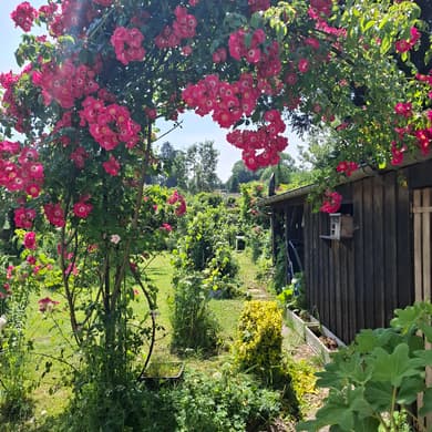 Longère normande rénovée, jardin