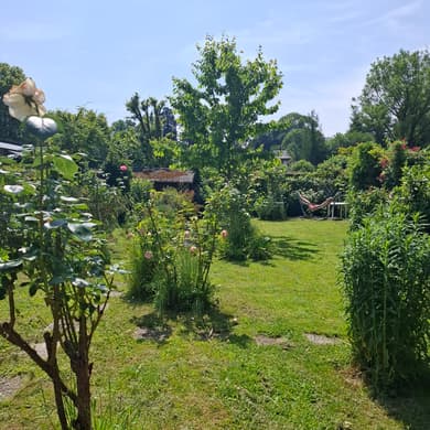 Longère normande rénovée, jardin