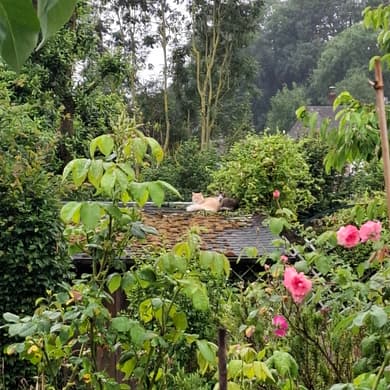 Longère normande rénovée, jardin