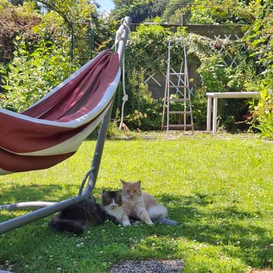 Longère normande rénovée, jardin