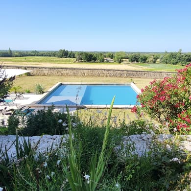 Ballade dans les vignes