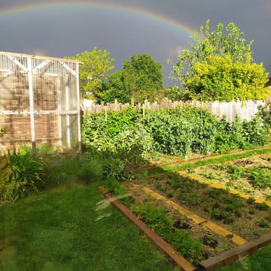 Maison avec jardin près de Brocéliande