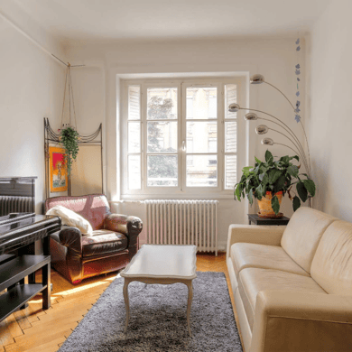 Appartement Lyonnais, ancien et chaleureux