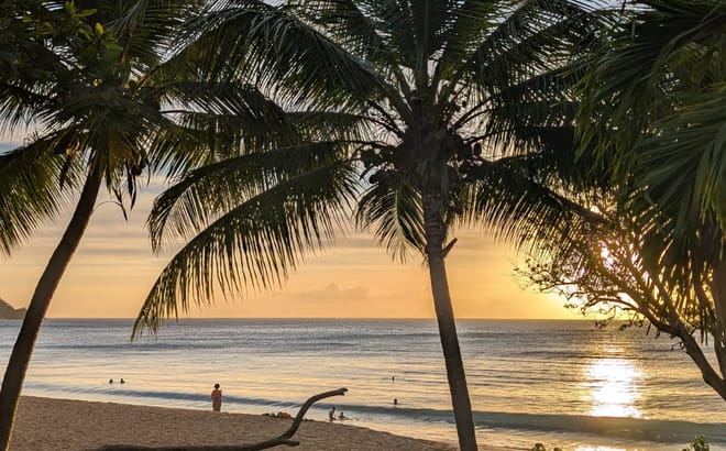 Recherche orthophoniste collaboration Guadeloupe
