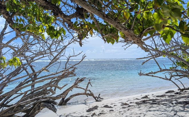 Recherche orthophoniste collaboration Guadeloupe