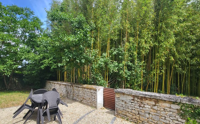 Remplacement congé maternité Charente 16
